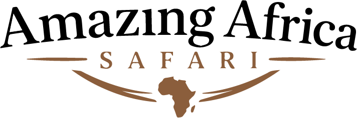 Amazing Africa Safari