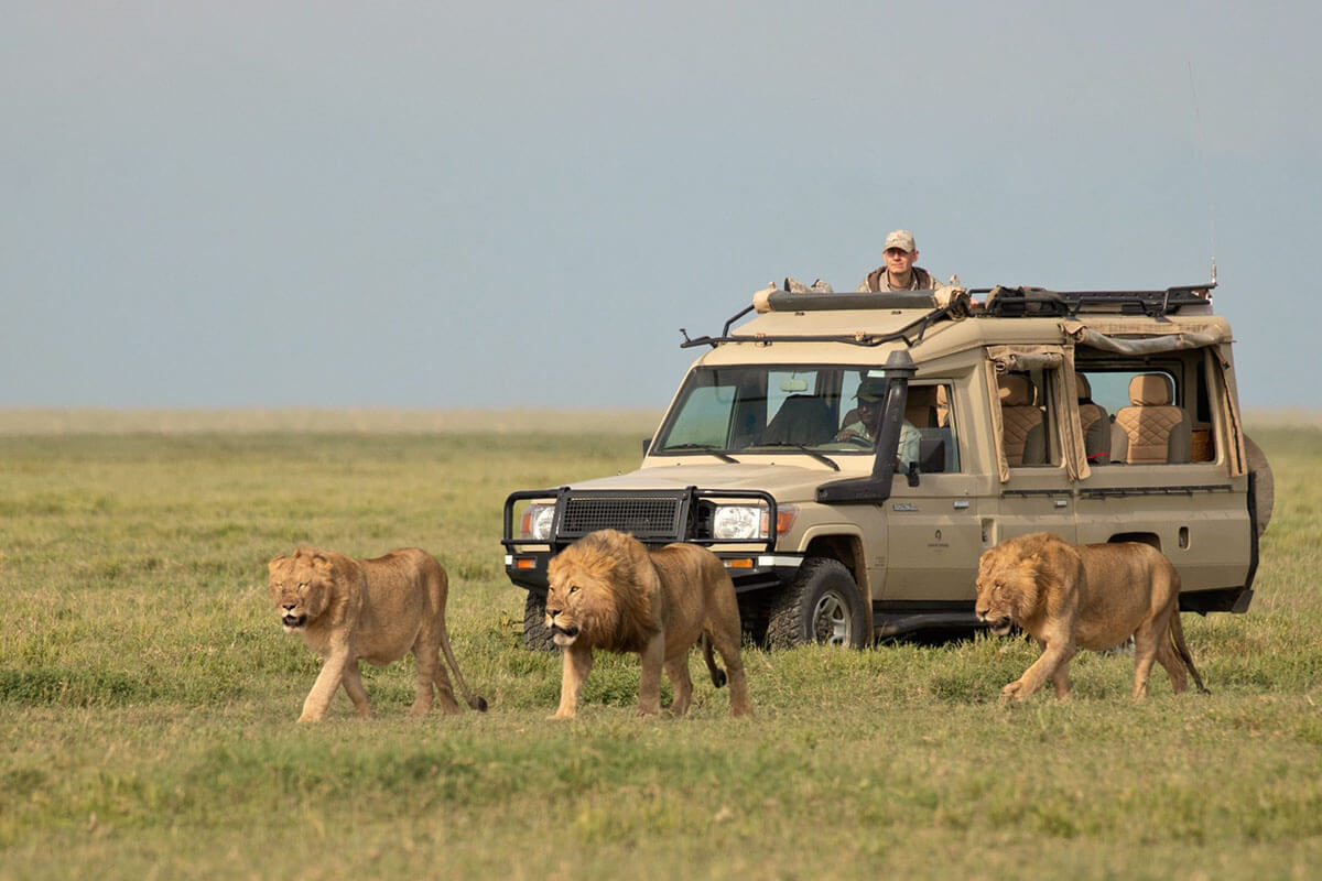 5-Day Northern Circuit Highlights Safari
