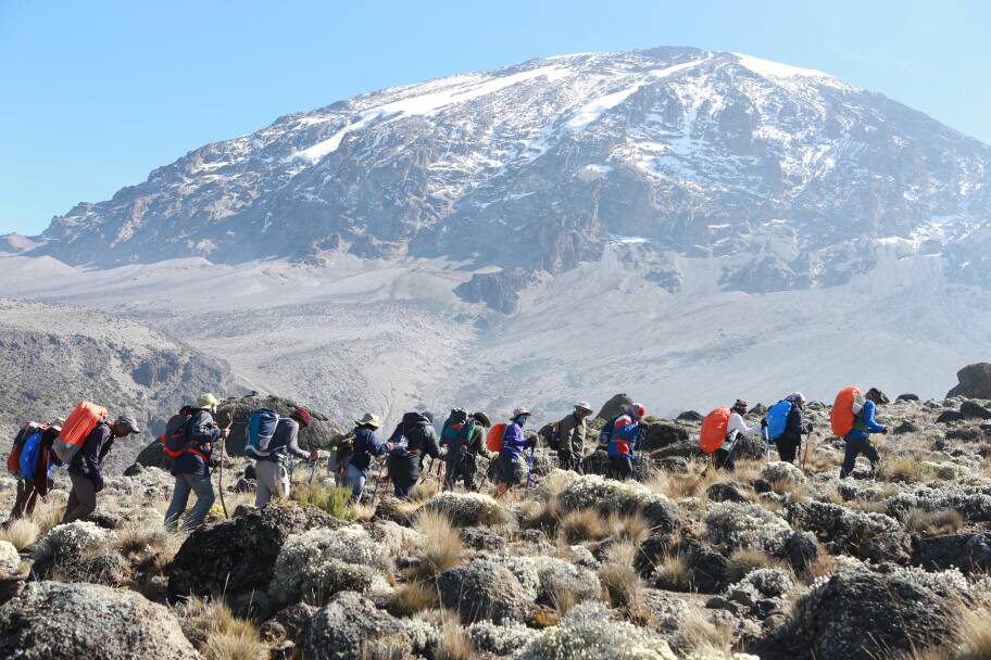 8-Day Lemosho Route Kilimanjaro Climb